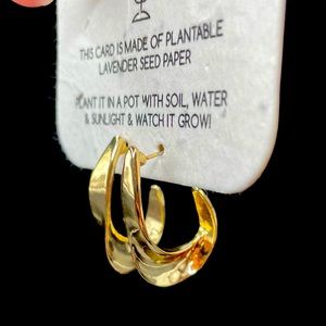 Free People Gold Loop Earrings NWT